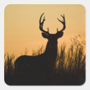 Search for white tail buck stickers Antlers