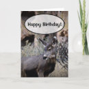 Search for outdoorsman cards Nature