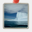Search for coast christmas tree decorations Shore