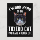 Search for i work hard postcards Kitty