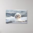 Search for looking down canvas prints Horizontal
