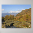 Search for ash posters Autumn