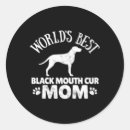 Search for medium size stickers Family pet