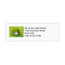 Search for mallard ducks return address labels Animal