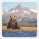 Search for alaska wildlife stickers National park