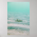 Search for majorca posters Summer