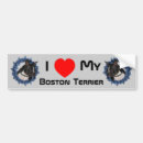 Search for boston terrier bumper stickers Animal