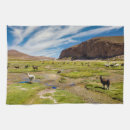 Search for alpaca tea towels Bolivia