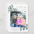 Search for eucalyptus christmas cards Stylish