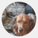 Search for military dog stickers Camo