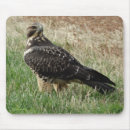 Search for hawks mousepads Raptors