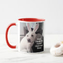 Search for funny animal photos mugs Humourous