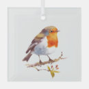 Search for red robin christmas tree decorations Nature