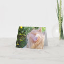 Search for maine coon cards Thinking of you