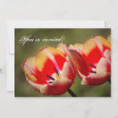 Search for tulip invitations Garden