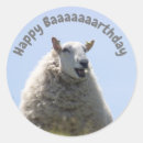 Search for with sheep stickers For kids