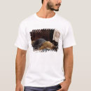 Search for shroud clothing Dead