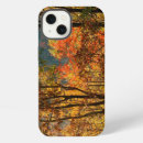 Search for fall foliage cases Orange