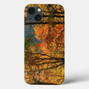 Search for fall foliage cases Orange