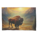 Search for native american pillowcases Buffalo