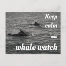 Search for watching postcards Whale