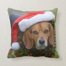 Search for beagle christmas cushions Hound