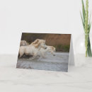 Search for running horse cards Camargue