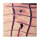 Search for guitar tiles Musician
