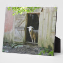 Search for adoration plaques Animal