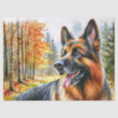Search for german shepherd tissue paper Autumn