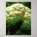 Search for cauliflower art Vegetables