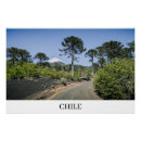 Search for volcanoes art Chile