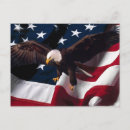 Search for eagle american flag postcards Birds