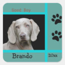 Search for dog photos stickers Modern