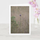 Search for allium cards Nature