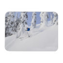 Search for powderer magnets Alpine