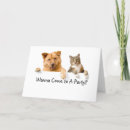 Search for dog and cat invitations Kitty