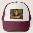 Search for marsupials hats Wildlife
