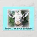 Search for blue giraffe postcards Zoo