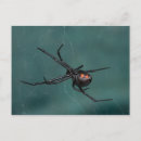Search for widows postcards Halloween