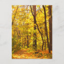 Search for deciduous postcards Autumn