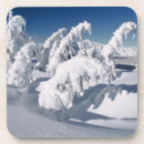 Search for craters coasters Scenic