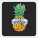 Search for sunglass stickers Hawaiian