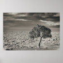 Search for pyramids photography Landscape