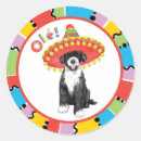 Search for portuguese water dog stickers Puppy
