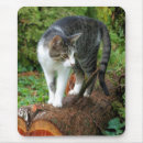 Search for cat mousepads Paws