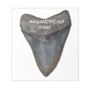 Search for megalodon gifts Teeth