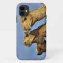 Search for cairo iphone cases Adam jones