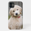 Search for goldendoodle iphone cases Cute