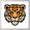 Search for tiger look posters Wildlife